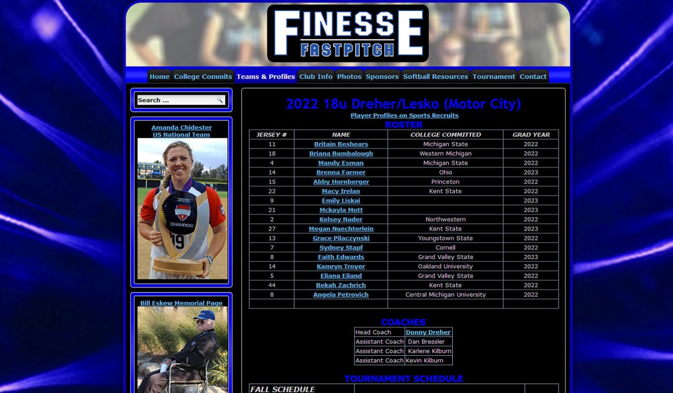 Finesse Fastpitch Website Design - Cruthers Enterprises